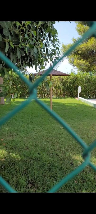 Apartamento Bajo Con Terraza Y Piscina Torrevieja Buitenkant foto