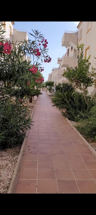 Apartamento Bajo Con Terraza Y Piscina Torrevieja Buitenkant foto